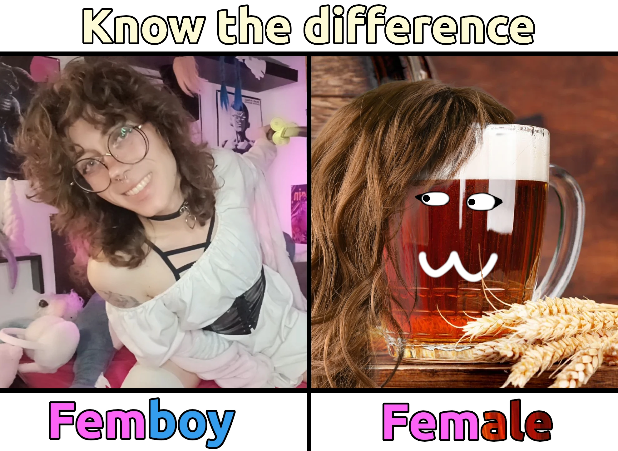 Know the difference. Chris the Femboy on the left with a text under him saying "Femboy". A picture of an ale with hair, eyes and the :3 face is on the right, looking at him with a text saying "FemAle".