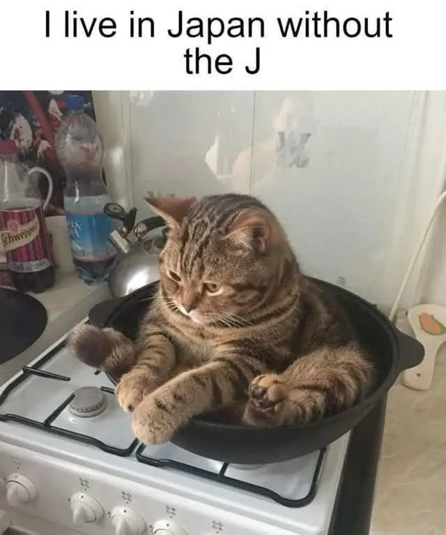 "I live in Japan without the J". Picture of a cat in a pan