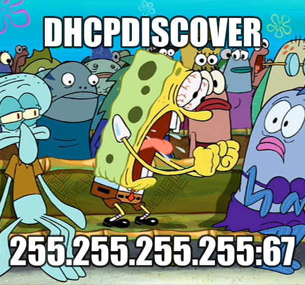 (picture of SpongeBob Squarepants standing on a bench screaming) DHCPDISCOVER 255.255.255.255:67