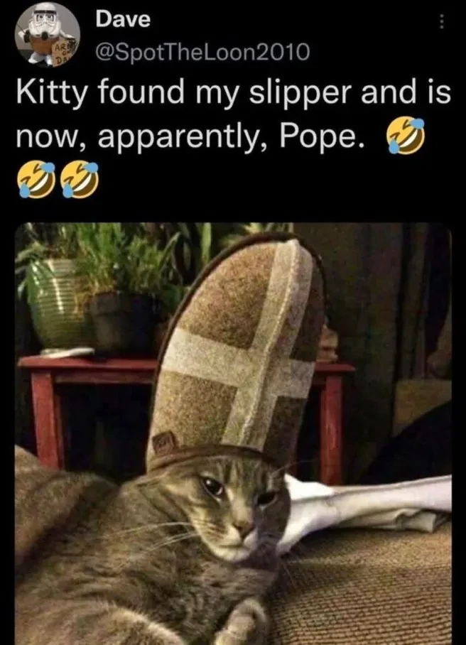 "Kitty found my slipper and is now, apparently, Pope.". Picture of a cat with a slipper on it's head, making it look like the pope