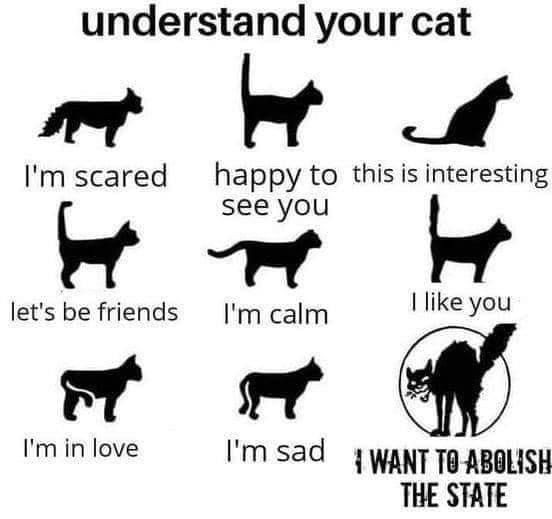 A chart titled "understand your cat" showing silhouettes of cats with various tail positions and corresponding emotions, ending with an arched, hissing cat captioned "I want to abolish the state."