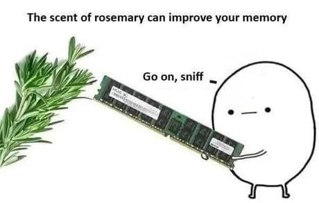 Rosemary
