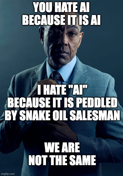 You hate AI because it is AI. I hate "AI" because it is peddled by snake oil salesman. We are not the same.