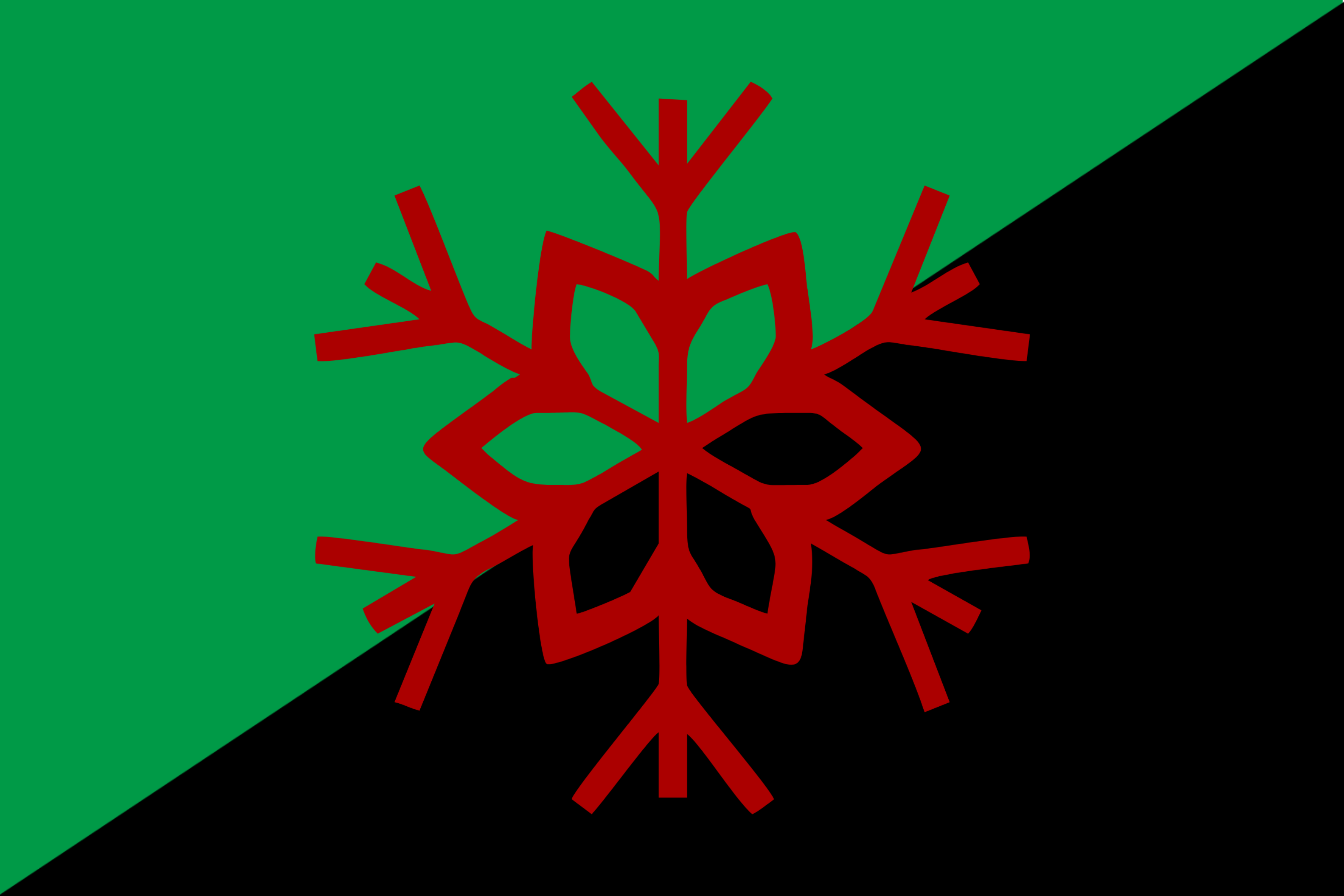 A flag containing a green-and-black diagonal and a blood red snowflake in the middle.