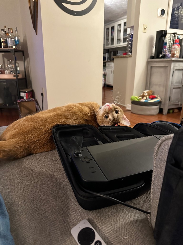 This is Jenkins. He has 1 functioning brain cell and I love him so much. 