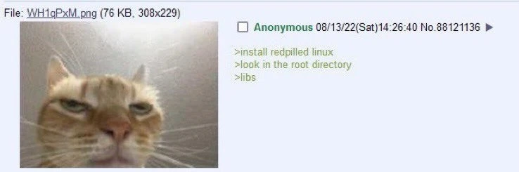 anon installs redpilled linux