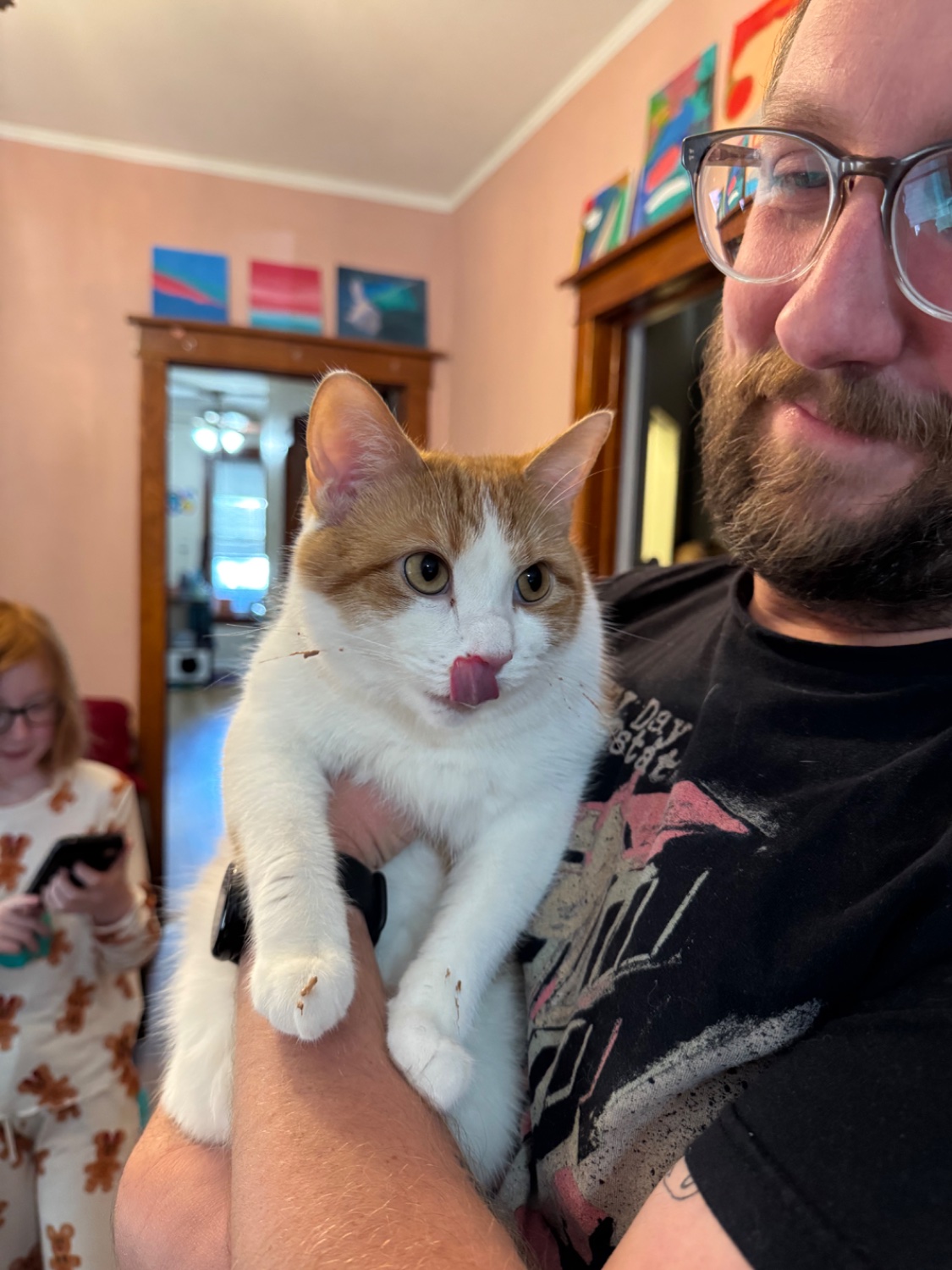 A squishy short hair orange creamsicle cat licks her chops while held captive, hurriedly destroying the evidence of chocolate pie theft, which still stains her whiskers and paws