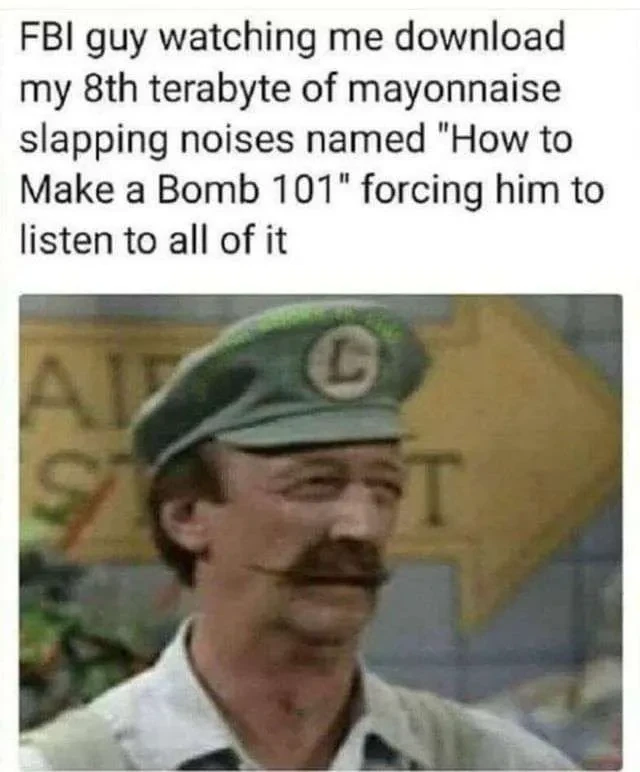 "FBI guy watching me download my 8th terabyte of mayonnaise slapping noises named 'How to Make a Bomb 101' forcing him to listen to all of it". Below a picture of a person dressed as Luigi, looking unhappy