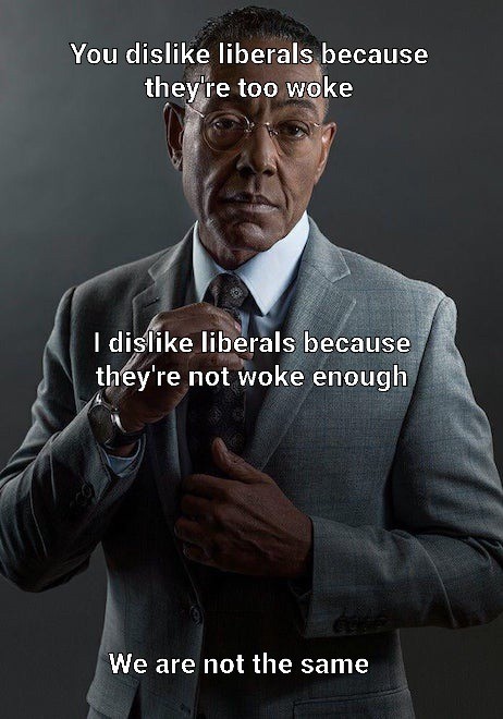 dislike liberals