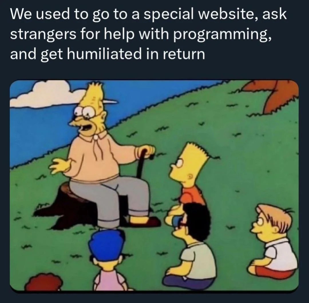 we used to go to a special website, ask strangers for help with programming, and get humiliated in return