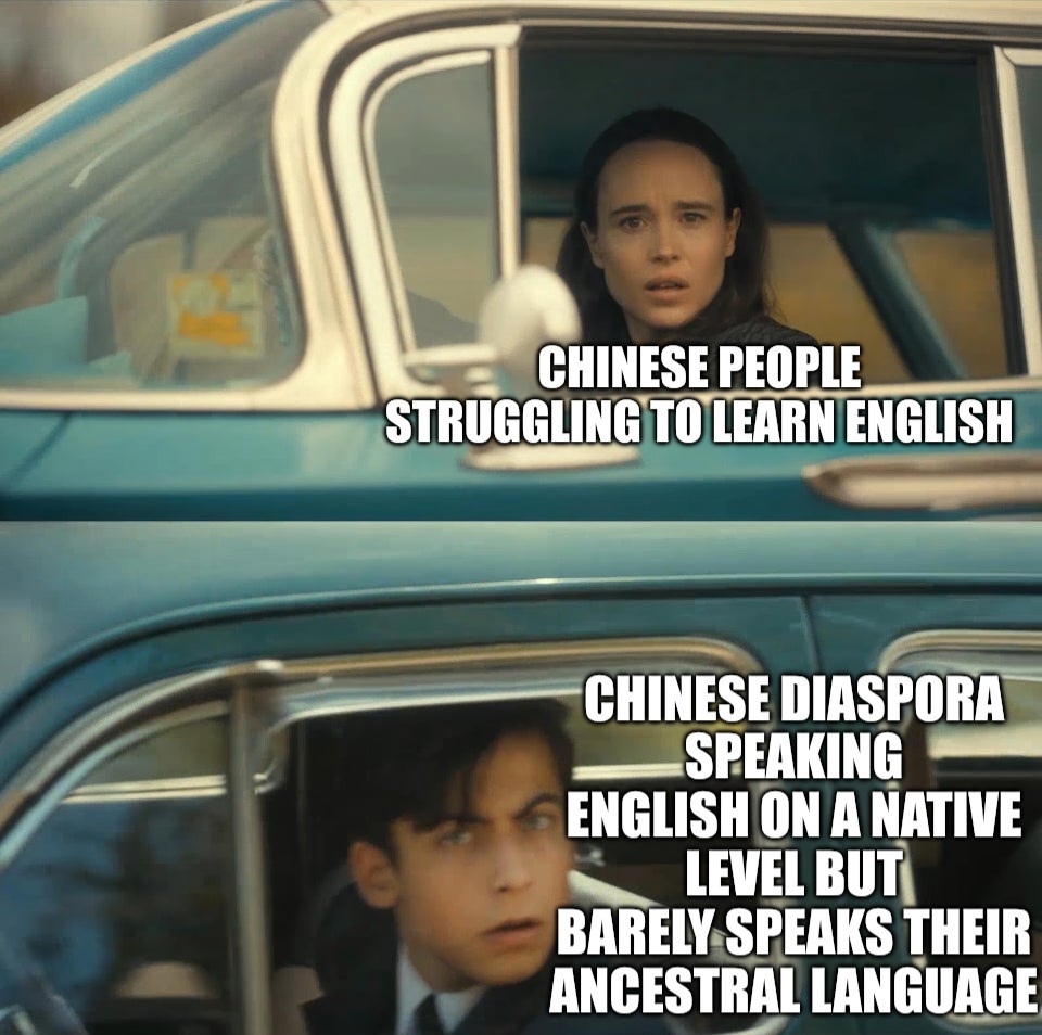 Umbrella Academy Meme: Text on top says: "Chinese People struggling to learn English"; Text on bottom says: "Chinese Diaspora speaking English on a Native Level but barely speaks their Ancestral Language"