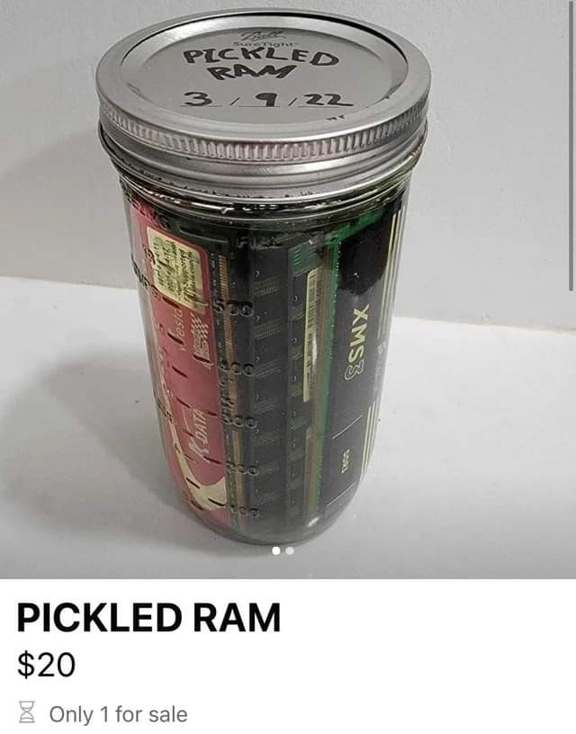 image of pickled RAM for sale. sticks of RAM encased in a mason jar. $20, only 1 for sale
