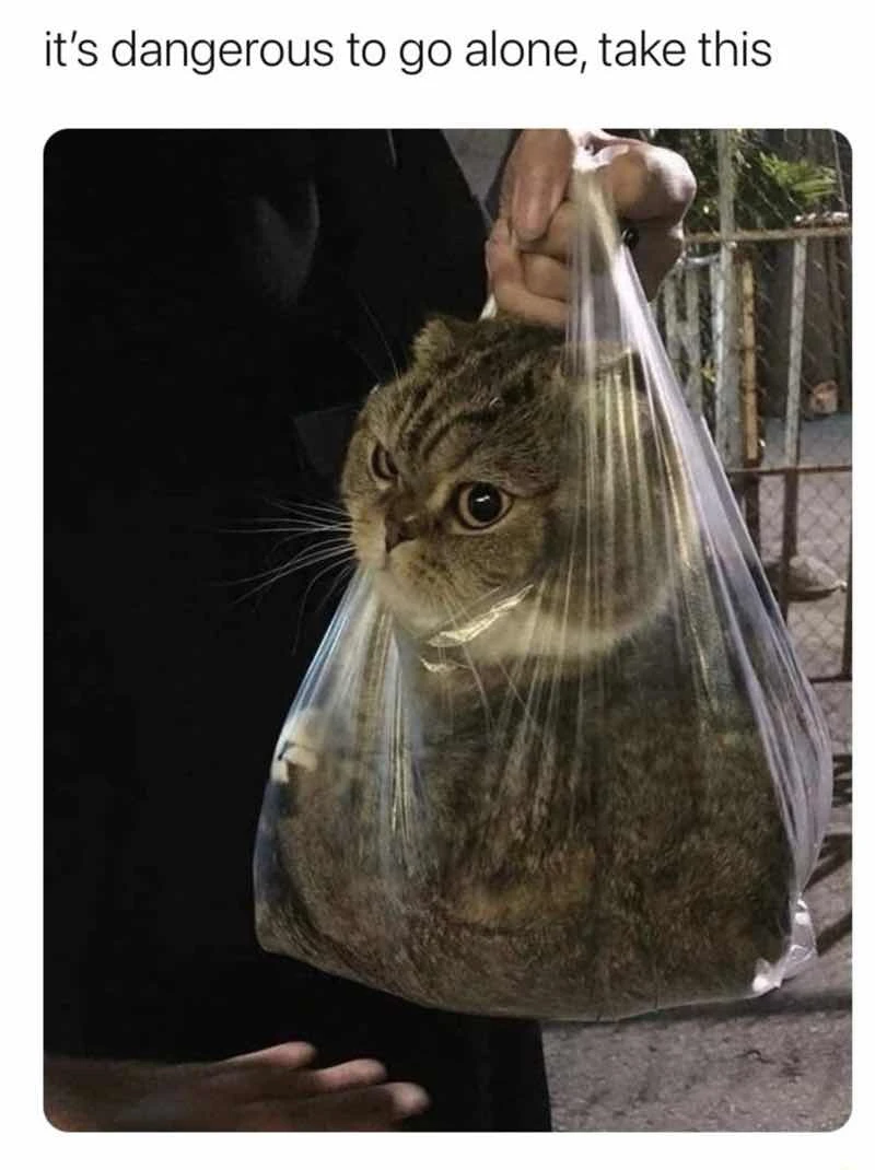 it's dangerous to go alone, take this