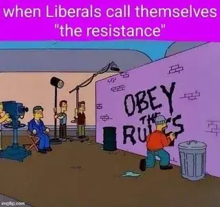 A screenshot from _The Simpsons_, it shows homer wearing a beanie hat while spray painting "OBEY THE RULES" in black paint onto a pinkish-purpleish wall. Next to homer is a grey trash can, and a green barrel. Behind him is a director in a blue suit sitting on a chair, next to him is a person pointing a film camera at homer. To the directors other side is a man holding a spotlight to homer, and another person holding a mic to him.  This is captioned with "when Liberals call themselves "the resistance" in slightly blurry text on a magenta background.    In the bottom left corner is a faint "imgflip.com" watermark.