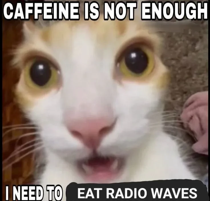 Picture of a cat captioned: "Caffeine is not enough I need to eat radio waves"