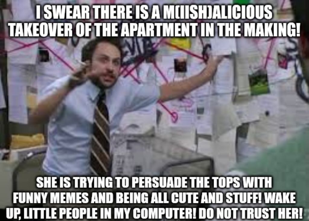 A meme about a conspiracy regarding the microcelebrity Miisha taking over the apartment with funny memes.