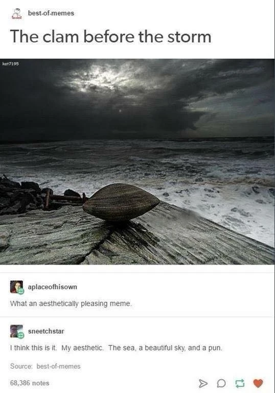 A tumblr post titled the clam before the storm showing a clam placed on a pier. The waves are turbulent and crashing up against the rocky shore. You can see the dark clouds moving in and obscuring the once blue sky and swallowing the sun, leaving only some fading light at the edge of the clouds. The poster is best-of-memes. aplaceofhisown responds with "What an aesthetically pleasing meme.", to which sneetchstar responds "I think this is it. My aeshetic. The sea, a beautiful sky, and a pun."