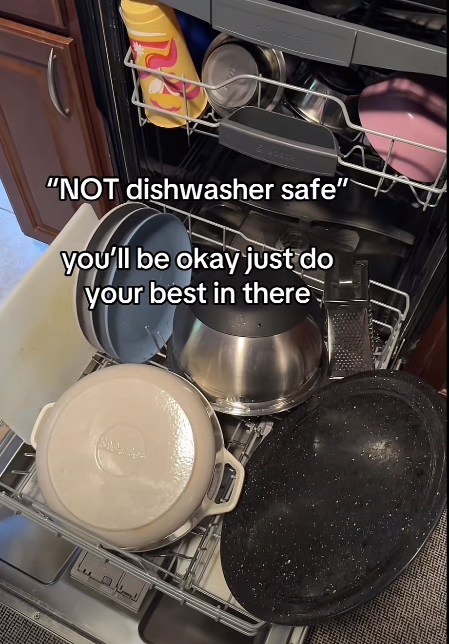 Picture of a loaded dishwasher with the caption: "NOT dishwasher safe"
you'll be okay just do your best in there