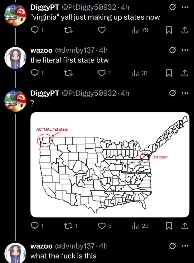 "Virginia, yall just making up states now"; "the literal first state btw"; "?" Picture of a map that looks like a very weird USA map with one section labeled '1st state' and one ACTUAL 1st state; "what the fuck is this"